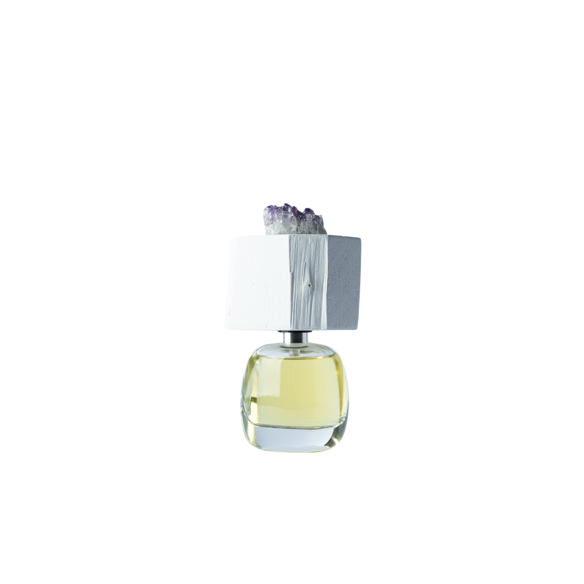 LUX VISIONARIA