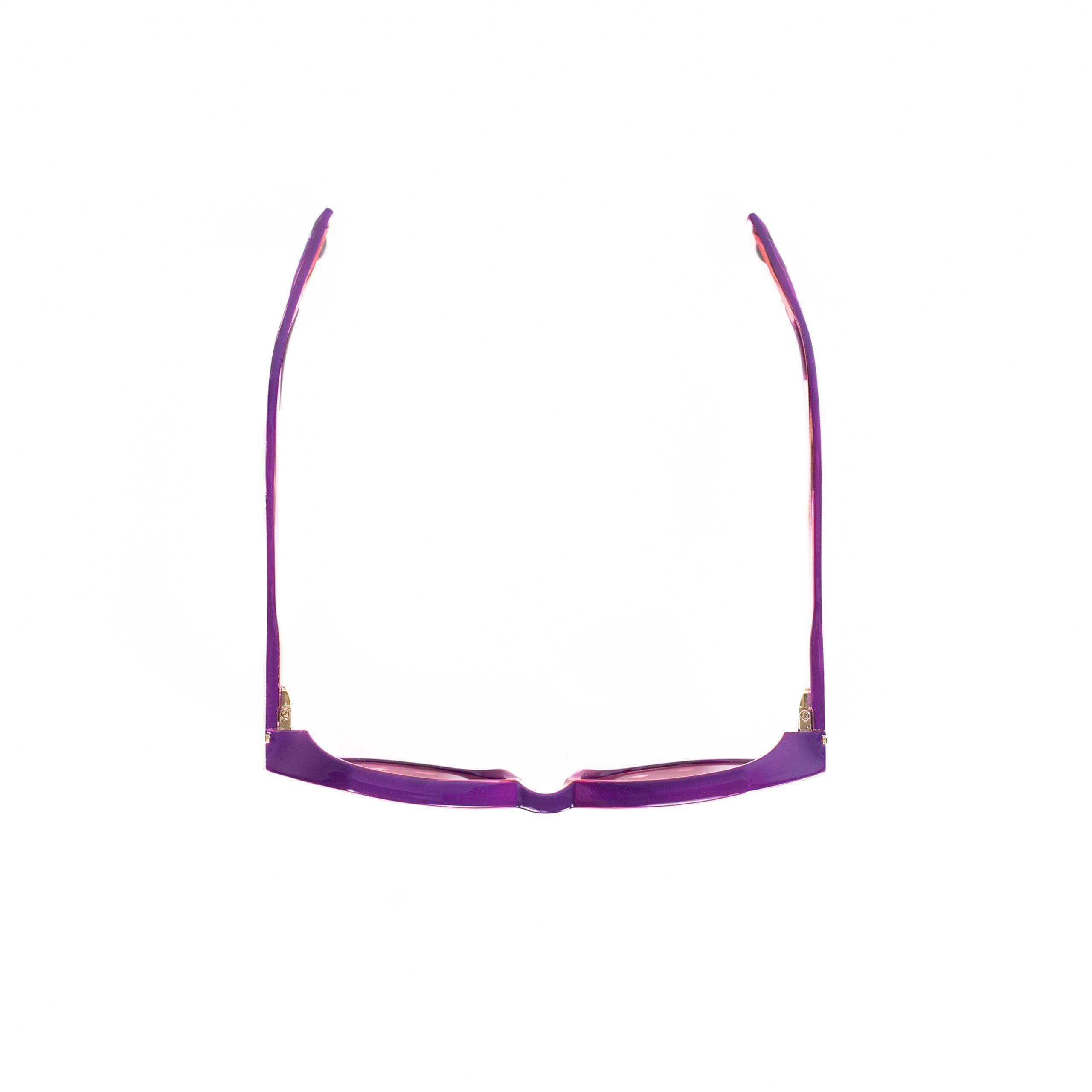 Occhiali BAL HARBOUR C28 con aste viola e dettagli eleganti di AirDP