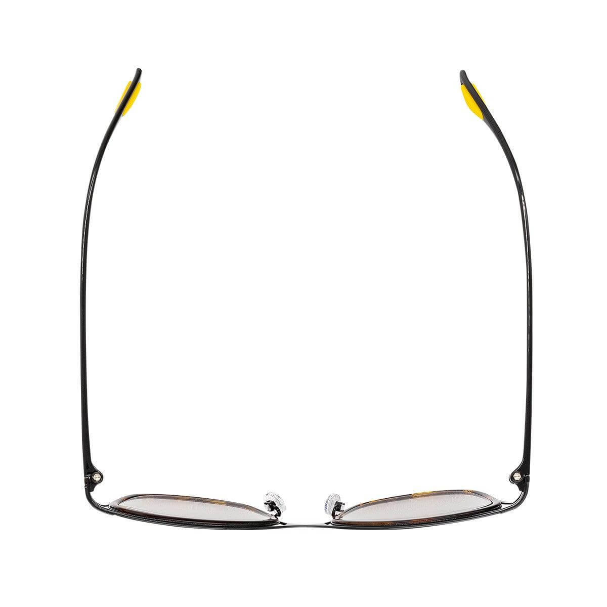 FIJI C2 occhiali eleganti e sofisticati della collezione Combined, design accattivante.