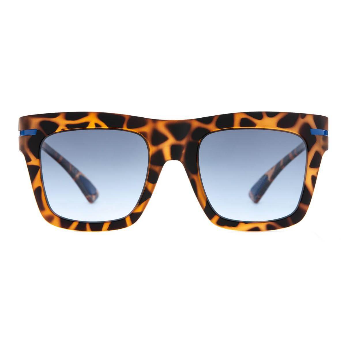 Occhiali da sole ROBERT C22 in montatura havanna con lenti grigie sfumate e dettagli blu.