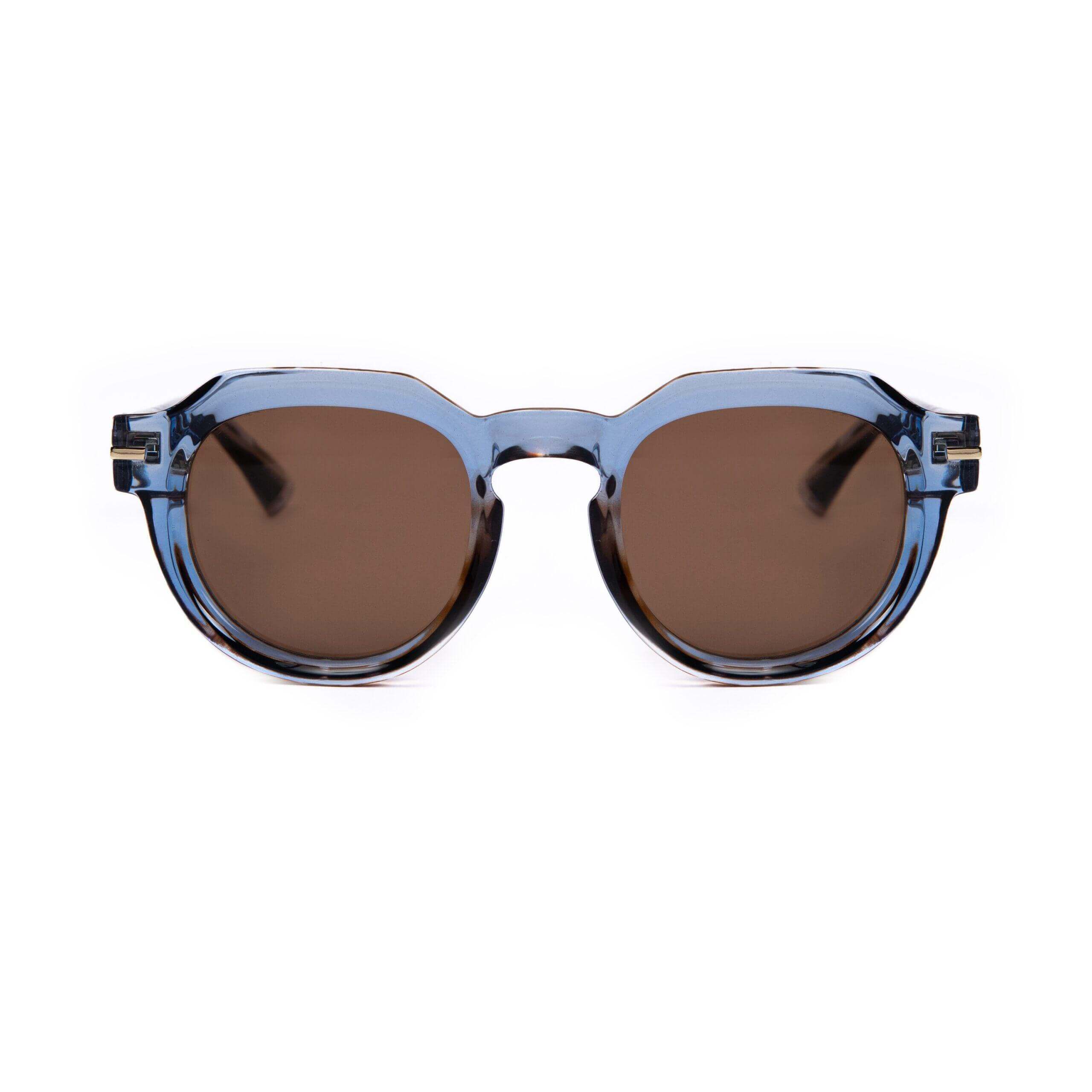 Sunny Island C14 sunglasses featuring bold thickness, metallic details, and a contemporary design with blue frame.