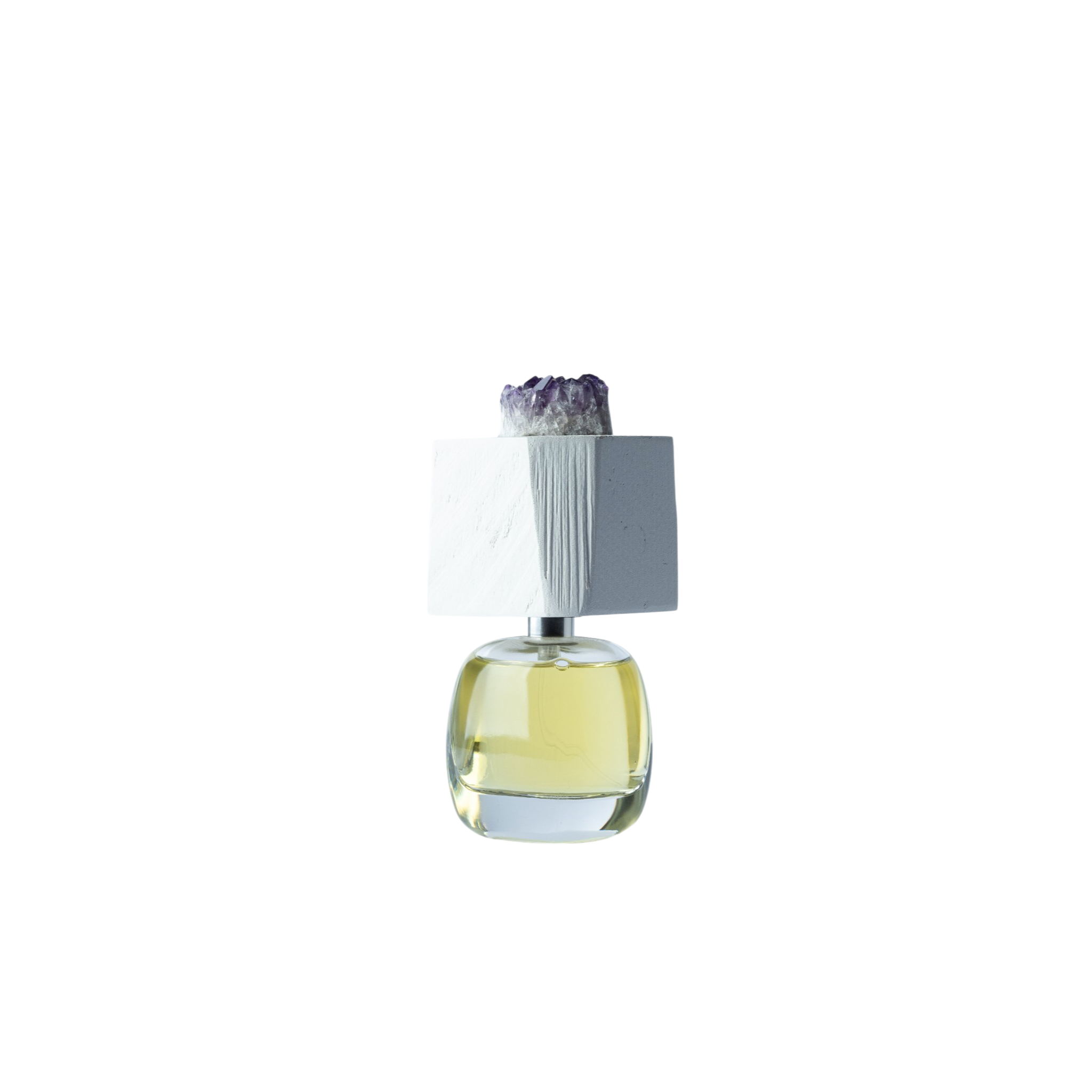 LUX VISIONARIA