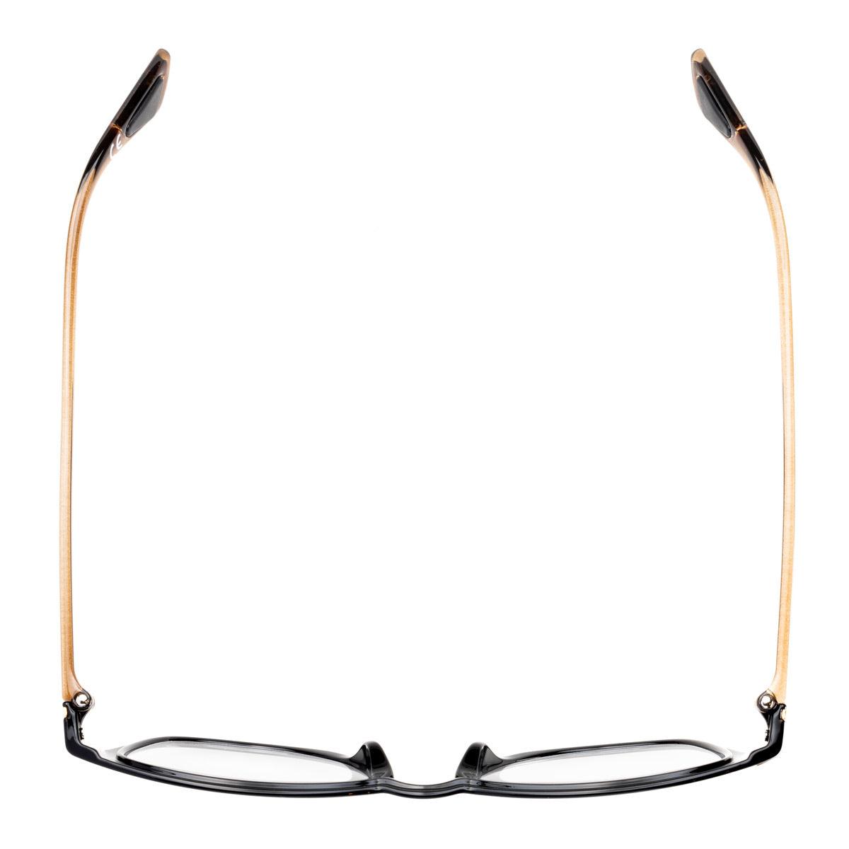 MAX C1 occhiali da sole da uomo con forma rotonda, frontale nero e aste marroni lucide crystal.