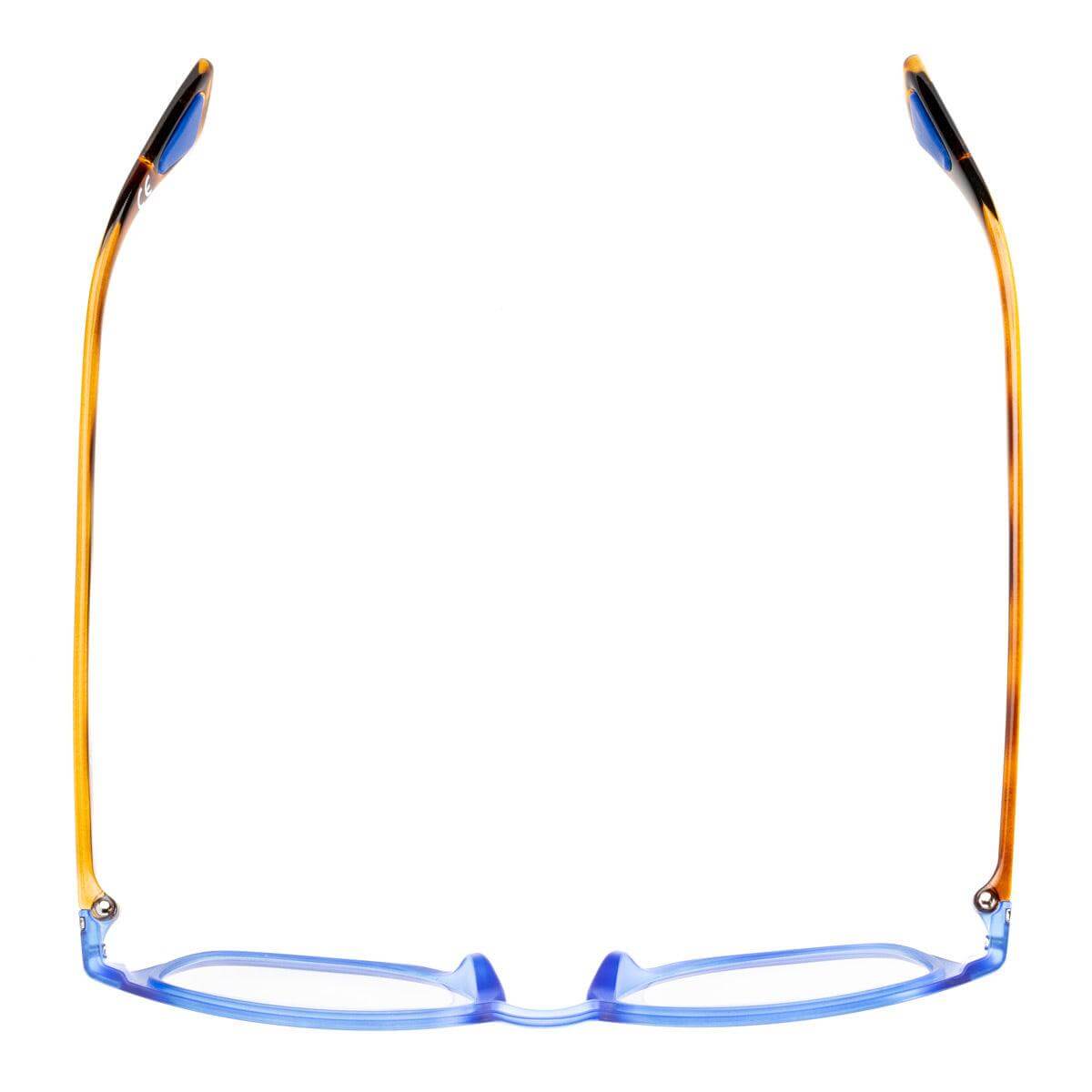 MAX C3 occhiali da sole da uomo, montatura rotonda blu e aste color avana, collezione Frame, Alessandro Del Piero.