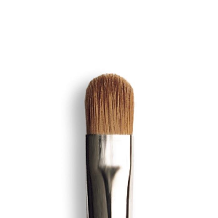 Eye Brush LG1